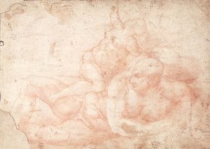 男女裸体研究